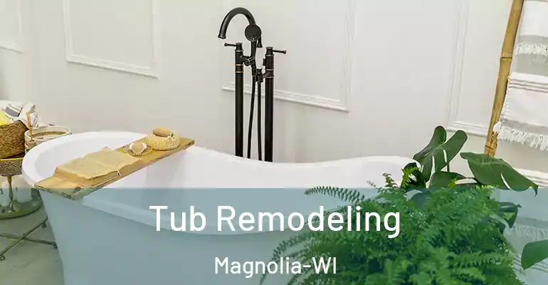 inner Bathroom imggen Tub Remodeling Magnolia-WI