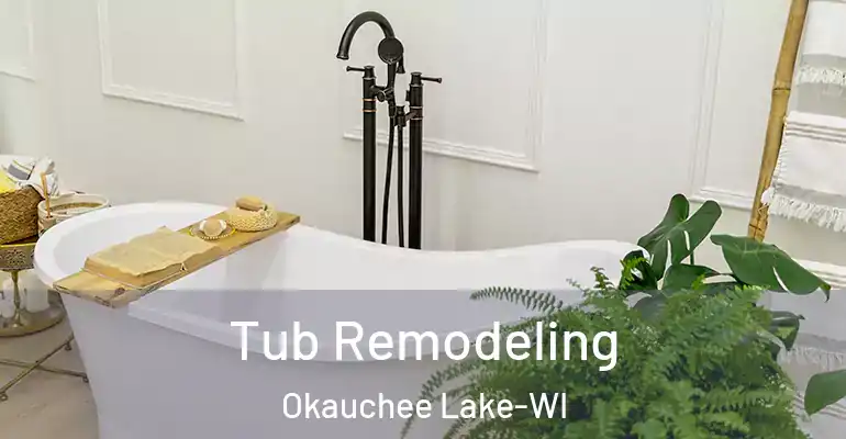 inner Bathroom imggen Tub Remodeling Okauchee Lake-WI