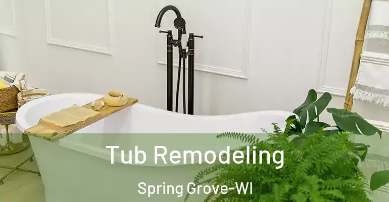 inner Bathroom imggen Tub Remodeling Spring Grove-WI