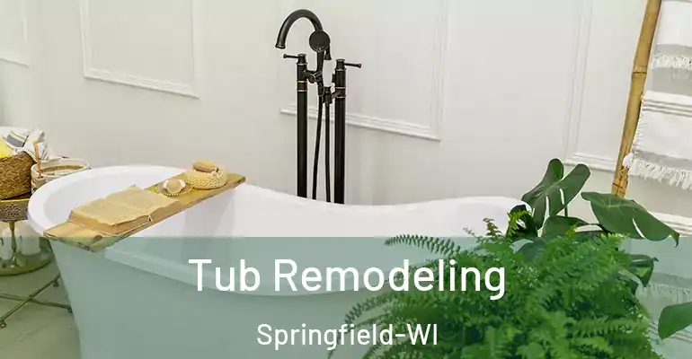 inner Bathroom imggen Tub Remodeling Springfield-WI