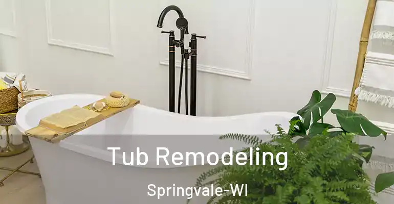 inner Bathroom imggen Tub Remodeling Springvale-WI