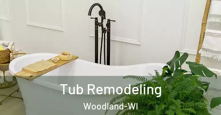 inner Bathroom imggen Tub Remodeling Woodland-WI