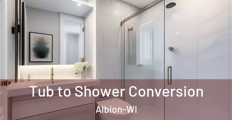inner Bathroom imggen Tub to Shower Conversion Albion-WI