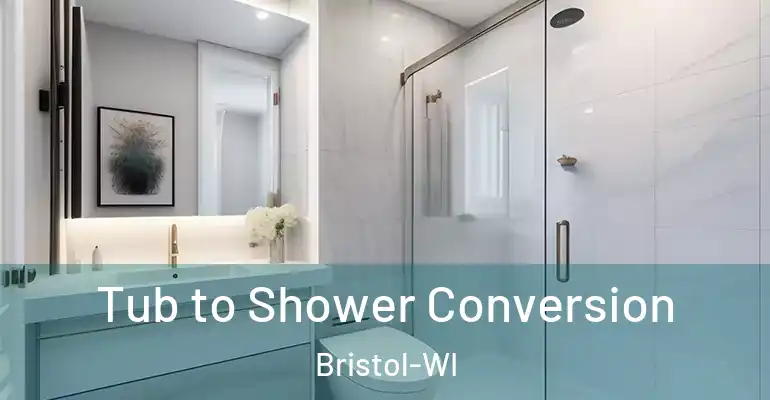 inner Bathroom imggen Tub to Shower Conversion Bristol-WI