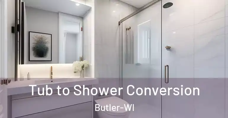 inner Bathroom imggen Tub to Shower Conversion Butler-WI