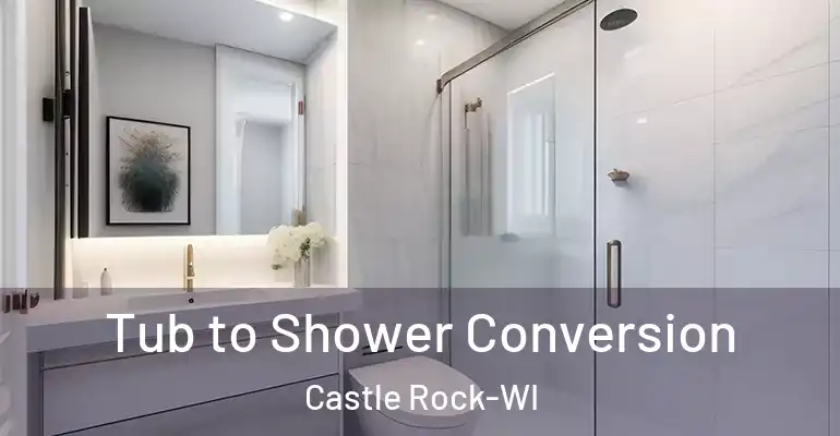 inner Bathroom imggen Tub to Shower Conversion Castle Rock-WI