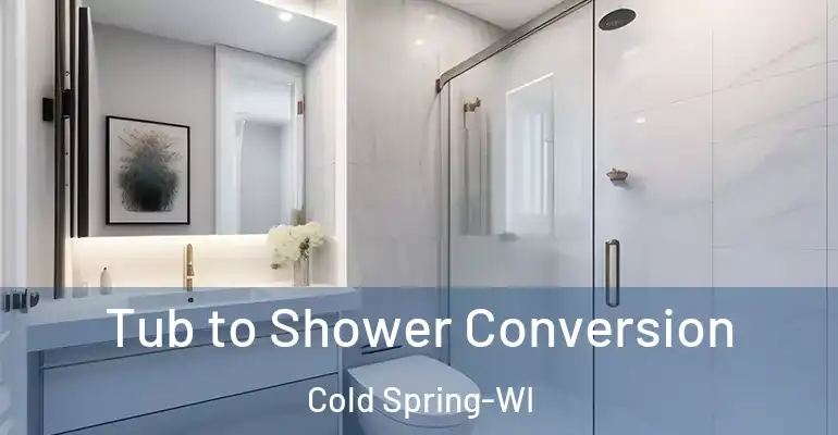 inner Bathroom imggen Tub to Shower Conversion Cold Spring-WI