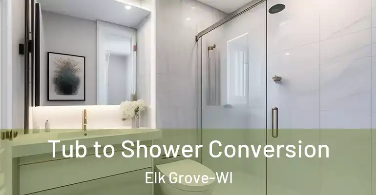 inner Bathroom imggen Tub to Shower Conversion Elk Grove-WI