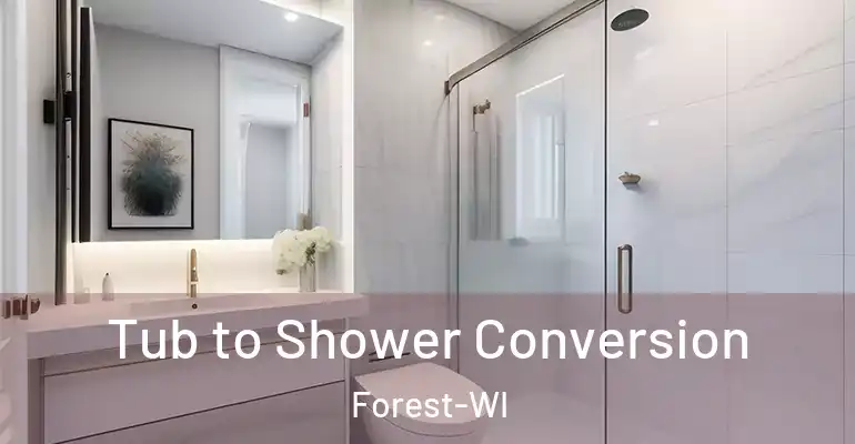 inner Bathroom imggen Tub to Shower Conversion Forest-WI