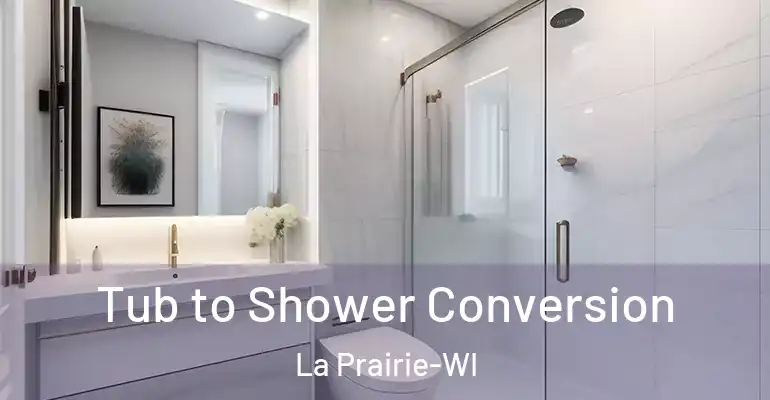 inner Bathroom imggen Tub to Shower Conversion La Prairie-WI