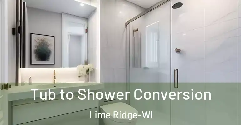 inner Bathroom imggen Tub to Shower Conversion Lime Ridge-WI