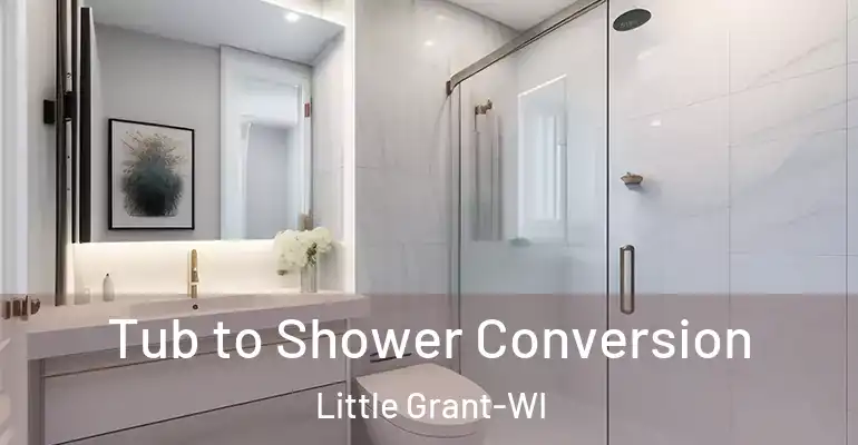 inner Bathroom imggen Tub to Shower Conversion Little Grant-WI