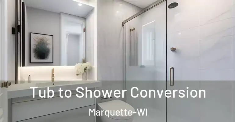 inner Bathroom imggen Tub to Shower Conversion Marquette-WI