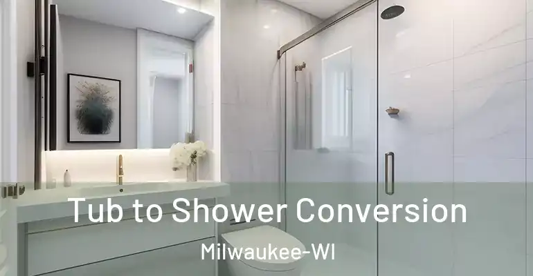 inner Bathroom imggen Tub to Shower Conversion Milwaukee-WI
