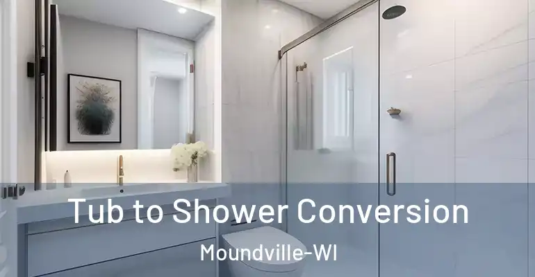 inner Bathroom imggen Tub to Shower Conversion Moundville-WI