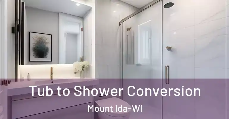 inner Bathroom imggen Tub to Shower Conversion Mount Ida-WI