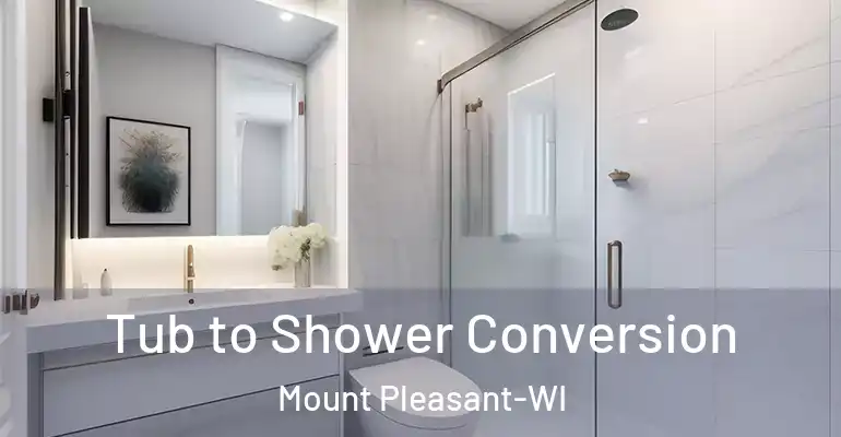 inner Bathroom imggen Tub to Shower Conversion Mount Pleasant-WI
