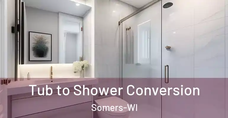 inner Bathroom imggen Tub to Shower Conversion Somers-WI