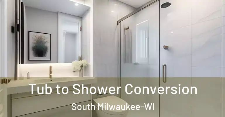 inner Bathroom imggen Tub to Shower Conversion South Milwaukee-WI