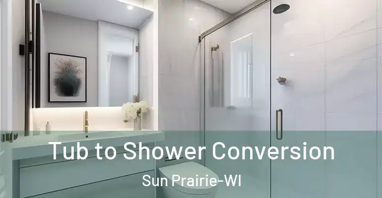 inner Bathroom imggen Tub to Shower Conversion Sun Prairie-WI
