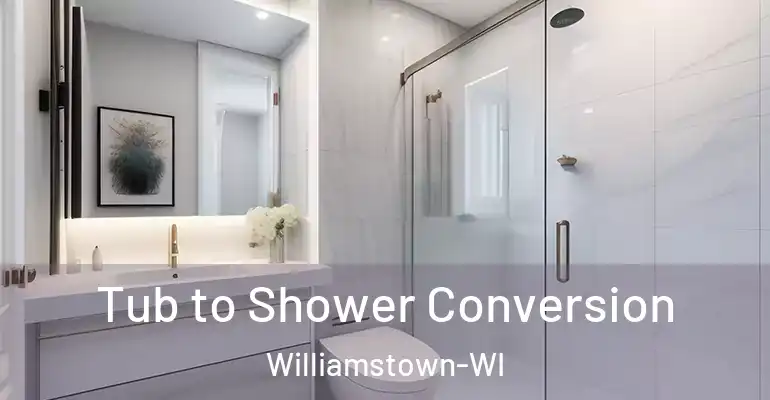 inner Bathroom imggen Tub to Shower Conversion Williamstown-WI