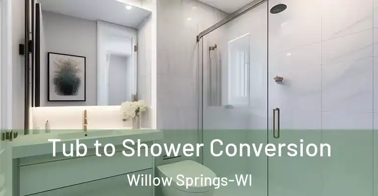 inner Bathroom imggen Tub to Shower Conversion Willow Springs-WI
