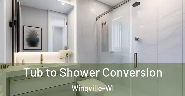 inner Bathroom imggen Tub to Shower Conversion Wingville-WI