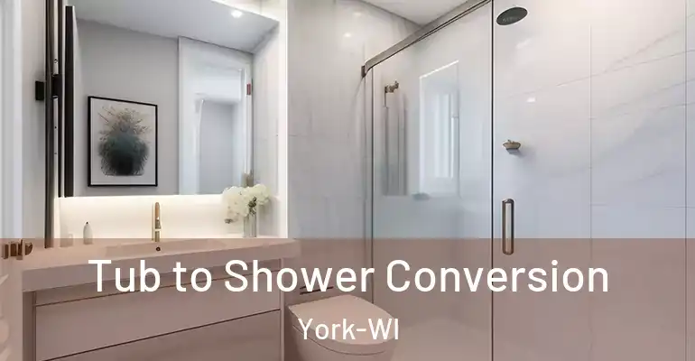 inner Bathroom imggen Tub to Shower Conversion York-WI