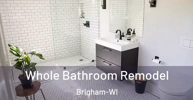 inner Bathroom imggen Whole Bathroom Remodel Brigham-WI