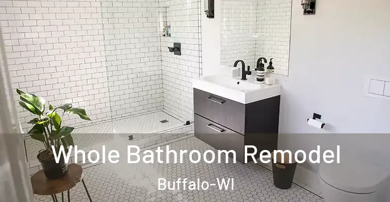 inner Bathroom imggen Whole Bathroom Remodel Buffalo-WI