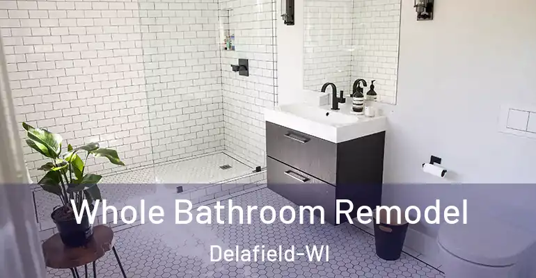 inner Bathroom imggen Whole Bathroom Remodel Delafield-WI