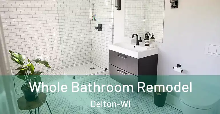 inner Bathroom imggen Whole Bathroom Remodel Delton-WI