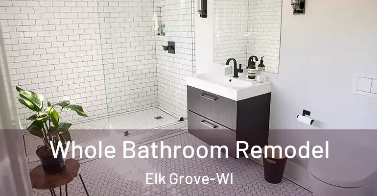 inner Bathroom imggen Whole Bathroom Remodel Elk Grove-WI
