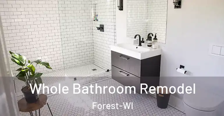 inner Bathroom imggen Whole Bathroom Remodel Forest-WI