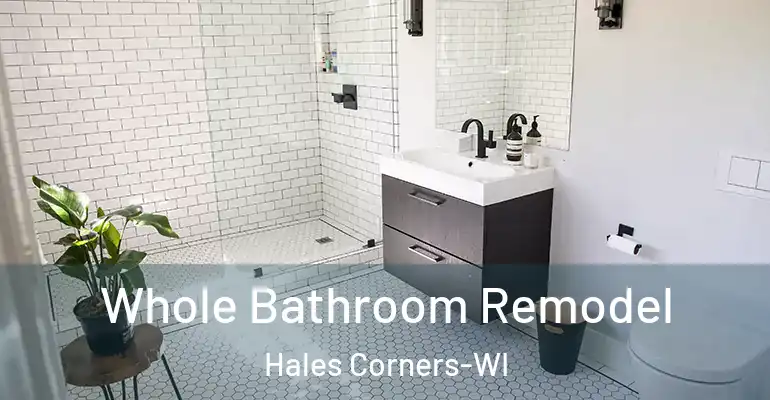 inner Bathroom imggen Whole Bathroom Remodel Hales Corners-WI