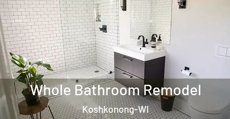 inner Bathroom imggen Whole Bathroom Remodel Koshkonong-WI