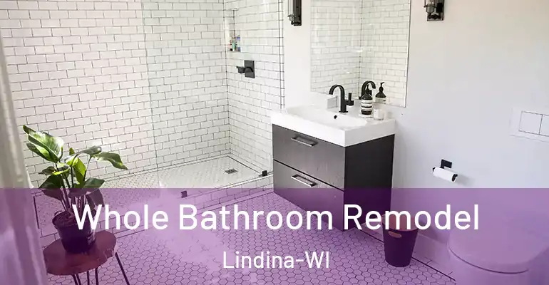 inner Bathroom imggen Whole Bathroom Remodel Lindina-WI