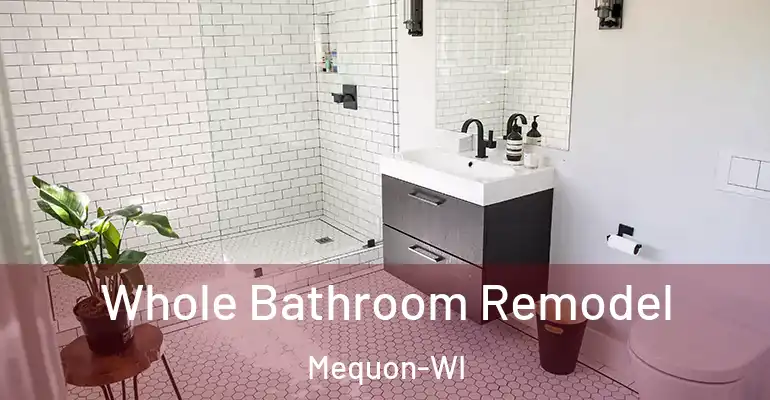 inner Bathroom imggen Whole Bathroom Remodel Mequon-WI