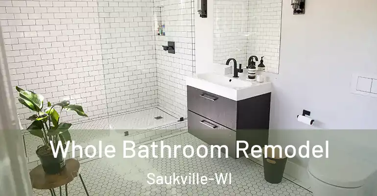 inner Bathroom imggen Whole Bathroom Remodel Saukville-WI