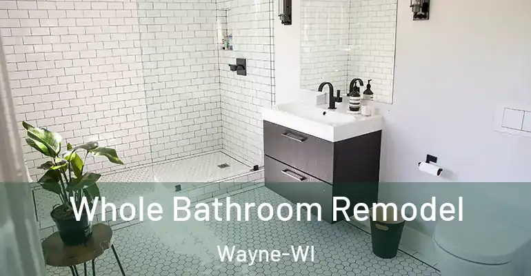inner Bathroom imggen Whole Bathroom Remodel Wayne-WI