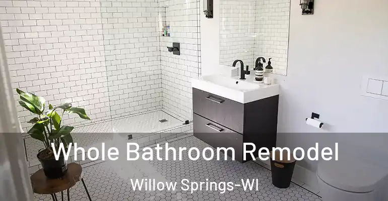 inner Bathroom imggen Whole Bathroom Remodel Willow Springs-WI